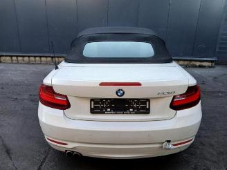 BMW 2-serie 2 serie (F23), Cabrio, 2014 / 2021 228i 2.0 Turbo 16V picture 10
