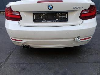 BMW 2-serie 2 serie (F23), Cabrio, 2014 / 2021 228i 2.0 Turbo 16V picture 12