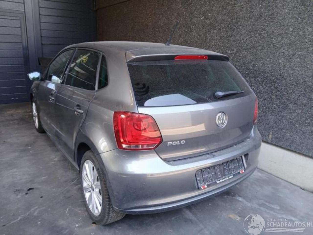 Volkswagen Polo Polo V (6R), Hatchback, 2009 / 2017 1.2 12V