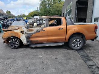 Ford Ranger Ranger, Pick-up, 2011 2.0 EcoBlue 16V 4x4 picture 10