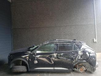 Peugeot 2008 2008 (UD/UK/UR/US/UX), MPV, 2019 1.2 VTi 12V PureTech 130 picture 8