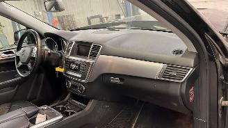 Mercedes ML ML 250 Bluetec 4matic picture 11