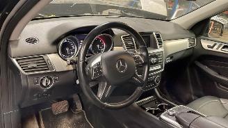 Mercedes ML ML 250 Bluetec 4matic picture 8