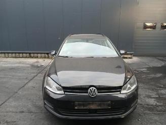 Volkswagen Golf Golf VII Variant (AUVV), Combi, 2013 / 2021 1.6 TDI 16V picture 2
