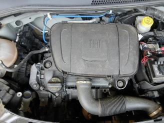 Fiat 500  picture 10