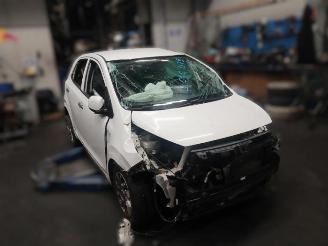 Salvage car Kia Picanto Picanto (JA), Hatchback, 2017 1.2 CVVT 16V 2019/8