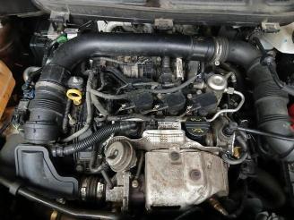 Ford EcoSport EcoSport (JK8), SUV, 2013 1.0 EcoBoost 12V 125 picture 23