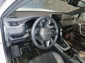 Toyota Rav-4 RAV4 (A5), Terreinwagen, 2018 2.5 Hybrid 16V picture 16