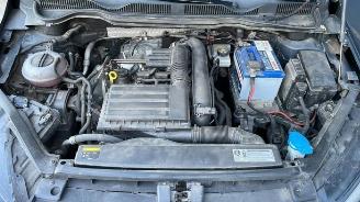 Volkswagen Golf Sportsvan Golf Sportsvan (AUVS), MPV, 2014 / 2021 1.2 TSI 16V BlueMOTION picture 19