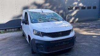  Peugeot Partner Partner (EA//EF/EN/EU), Van, 2018 1.5 BlueHDi 130 2019/2