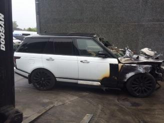 Land Rover Range Rover 4400 diesel picture 2