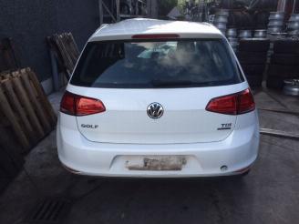 Volkswagen Golf 1600cc picture 4