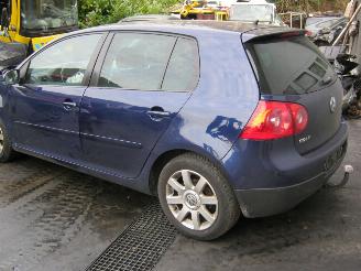 disassembly passenger cars Volkswagen Golf  2006/3