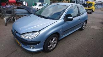 Peugeot 206 2002 1.6 16v NFU blauw EYL onderdelen picture 1