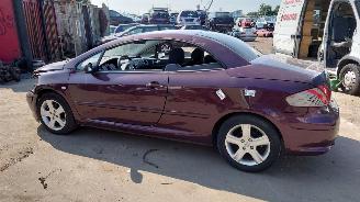 Peugeot 307 CC 2004 2.0 16v RFN Paars KKCD onderdelen picture 2