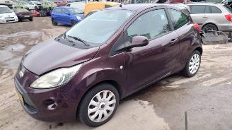 Dezmembrări autoturisme Ford Ka 2009 1.2i 169A4 Bruin Cafe onderdelen 2009/9