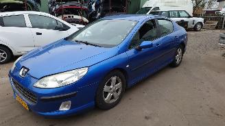 Dezmembrări autoturisme Peugeot 407 2007 2.0 16v RFJ Blauw KNND onderdelen 2007/1