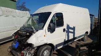 disassembly passenger cars Fiat Ducato 2004 2.8 JTD 8140.43s Wit onderdelen 2004/2