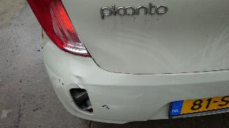 Kia Picanto 2011 1.0 12v G3LA Beige M9Y onderdelen picture 11