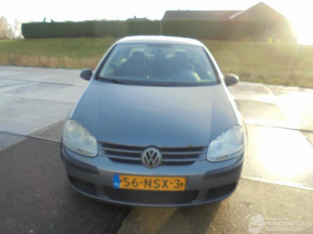 Volkswagen Golf Golf V (1K1), Hatchback, 2003 / 2010 1.9 TDI