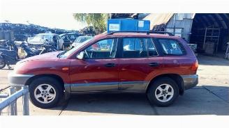 Hyundai Santa Fe Santa Fe I, SUV, 2000 / 2006 2.4 16V 4x2 picture 2