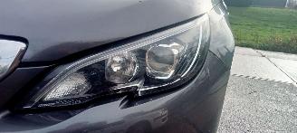 Peugeot 308  picture 11