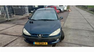  Peugeot 206 206 (2A/C/H/J/S), Hatchback, 1998 / 2012 1.4 XR,XS,XT,Gentry 2002/11