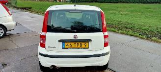 Fiat Panda  picture 3