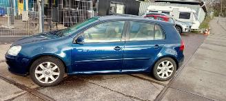 Volkswagen Golf  picture 3