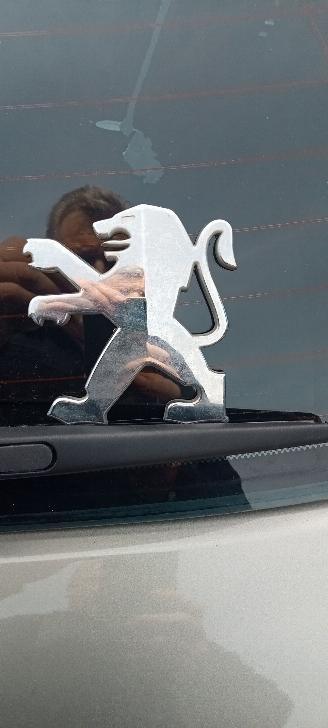 Peugeot 308  picture 12