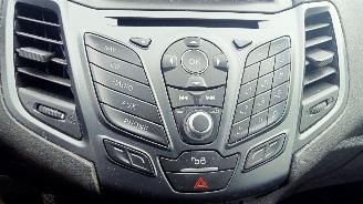 Ford Fiesta  picture 6