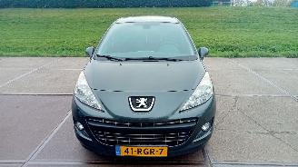  Peugeot 207  2011/6