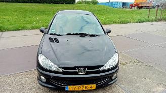 Unfallwagen Peugeot 206  2006/11