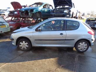 Peugeot 206  picture 2