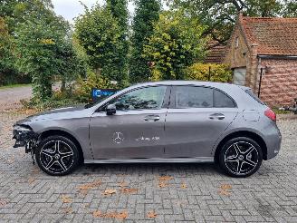 Mercedes A-klasse 250e AMG Line Stoelverw Led Navi picture 2