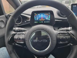 BYD Dolphin 60.4 kWh Pano Led Navi Camera picture 18