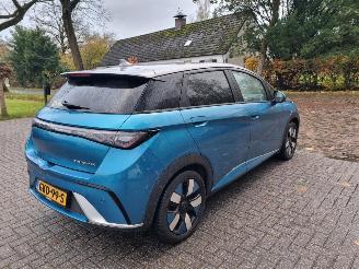 BYD Dolphin 60.4 kWh Pano Led Navi Camera picture 6