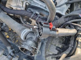 Volkswagen Tiguan 2.0 TDI 110KW Aut. Pano Navi Stoelverw picture 9