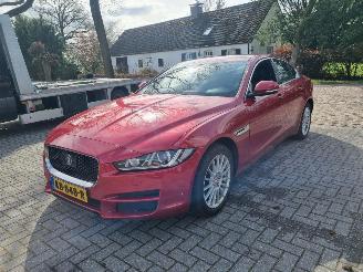 Jaguar XE 20d E-Performance Portfolio Pano Navi picture 7