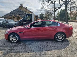 Jaguar XE 20d E-Performance Portfolio Pano Navi picture 6