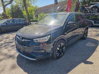 Opel Grandland x 1.2 Turbo Automaat Navi Stoelverw Leder picture 7