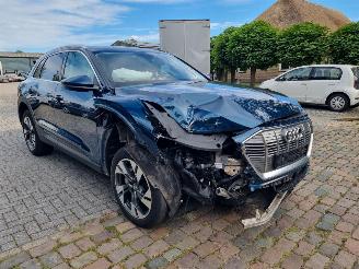 Audi E-tron 50 Quattro 71Kwh Stoelverw. picture 7
