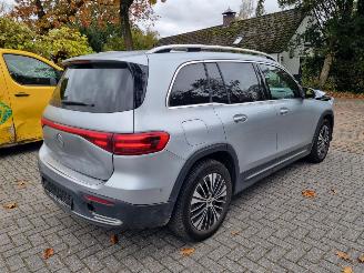Mercedes EQB 250+ Pano Led Stoelverw. picture 6