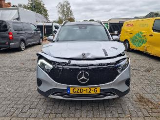Mercedes EQB 250+ Pano Led Stoelverw. picture 9