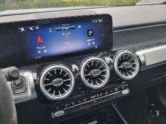 Mercedes EQB 250+ Pano Led Stoelverw. picture 18