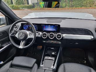 Mercedes EQB 250+ Pano Led Stoelverw. picture 12