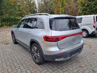 Mercedes EQB 250+ Pano Led Stoelverw. picture 4