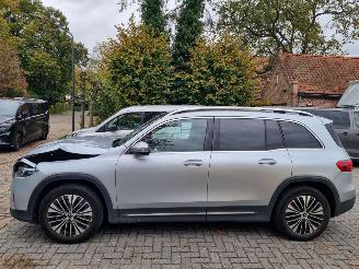 Mercedes EQB 250+ Pano Led Stoelverw. picture 2