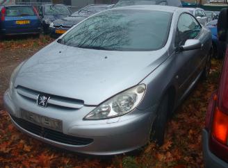 Peugeot 307 cc picture 6