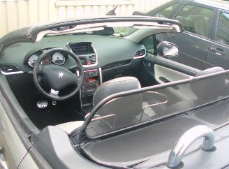 Peugeot 207 cc roland garros picture 13